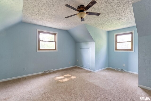 2916 117th Ave W, Milan, IL 61264 - photo 20