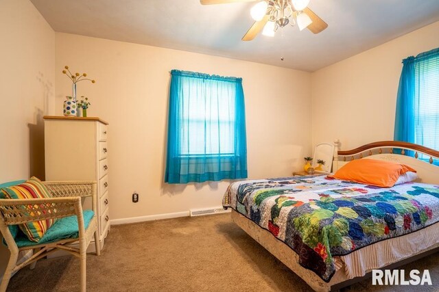 705 S Hadfield St, Marion, IL 62959 - carpeted bedroom featuring multiple windows and a ceiling fan
