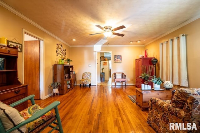 705 S Hadfield St, Marion, IL 62959 - living room featuring a ceiling fan, light wood finished floors, and crown molding