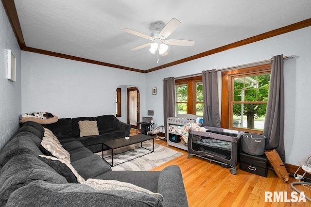 2531 5th St, Moline, IL 61265 - living room with arched walkways, wood finished floors, crown molding, and ceiling fan