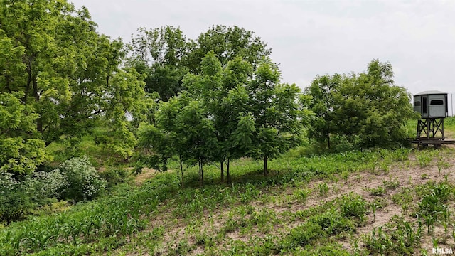 4456 115th St, Clinton, IA 52732
