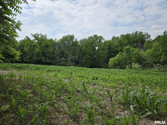 4456 115th St, Clinton, IA 52732