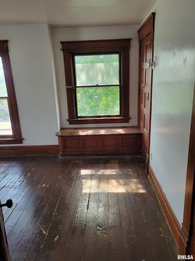 606 Meridian St Unit 1 & 2, Tipton, IA 52772 - unfurnished room with dark wood-style floors and plenty of natural light