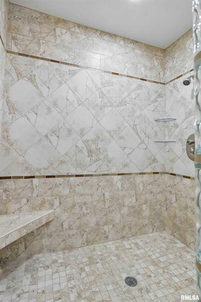 11 Sandstone Ct, Le Claire, IA 52753 - bathroom with tiled shower