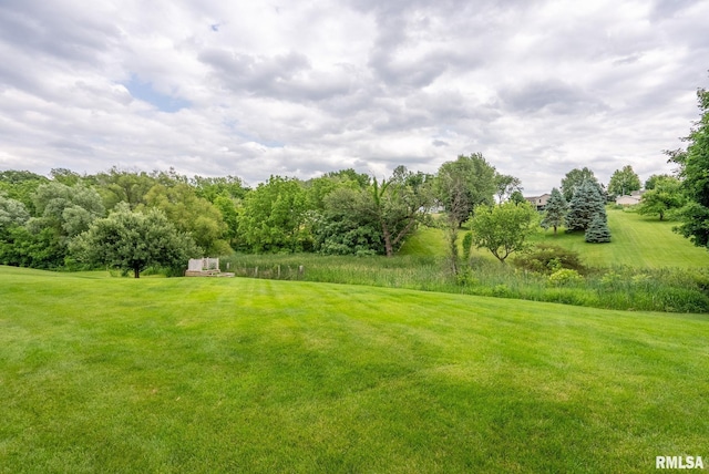 1010 Meadows Cir, Bettendorf, IA 52722 - view of green lawn