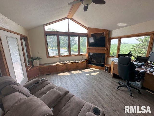 2347 230th Ave, Grand Mound, IA 52751 - home office featuring wood finished floors, lofted ceiling, a fireplace, plenty of natural light, and a ceiling fan
