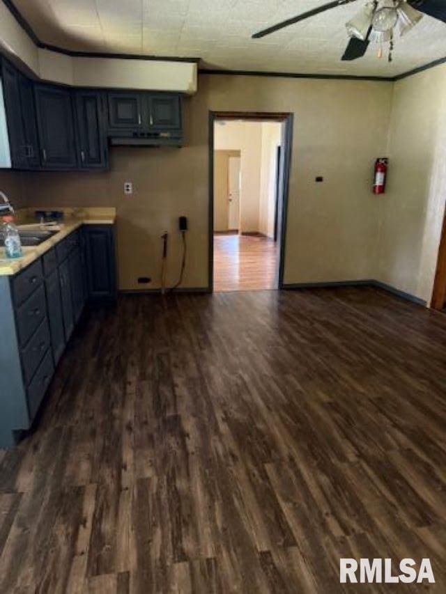 313 E 4th St, West Frankfort, IL 62896 - kitchen with dark wood-style floors, a ceiling fan, light countertops, and gray cabinetry