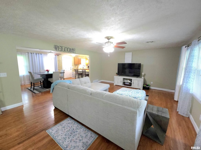 1401 Glopen Rd, Carbondale, IL 62901 - living room featuring ceiling fan, plenty of natural light, a textured ceiling, and wood finished floors
