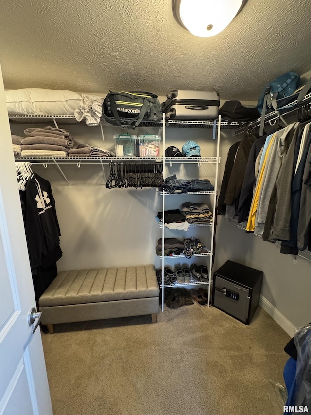 10509 N Butterfly Dr, Dunlap, IL 61525 - walk in closet with carpet floors
