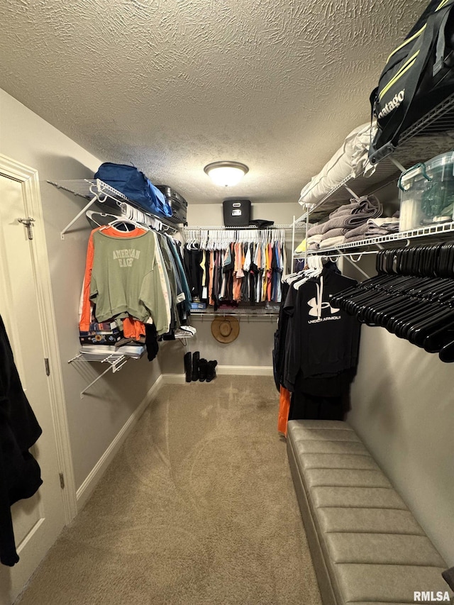 10509 N Butterfly Dr, Dunlap, IL 61525 - walk in closet with carpet flooring