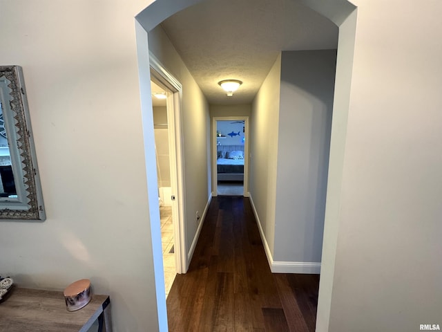 10509 N Butterfly Dr, Dunlap, IL 61525 - hallway featuring wood finished floors and baseboards