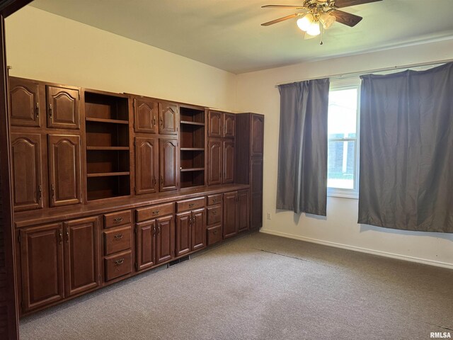 301 Lakeshore Dr, Carterville, IL 62918 - photo 19