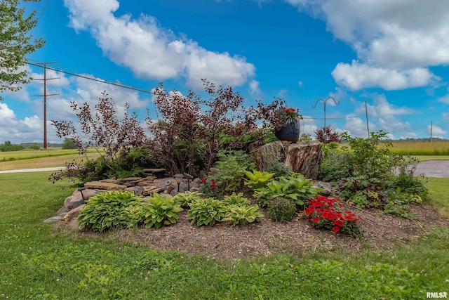 13524 US Route 67, Milan, IL 61264 - view of grassy yard