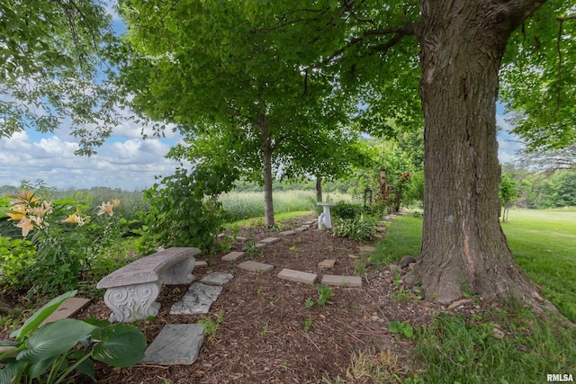 13524 US Route 67, Milan, IL 61264 - view of yard