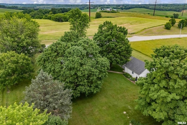 13524 US Route 67, Milan, IL 61264 - aerial view of a tree filled landscape