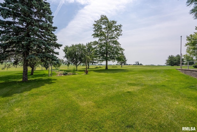 20425 20th Ave, Stockton, IA 52769 - view of green lawn