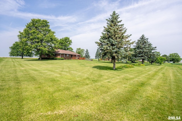 20425 20th Ave, Stockton, IA 52769 - view of green lawn