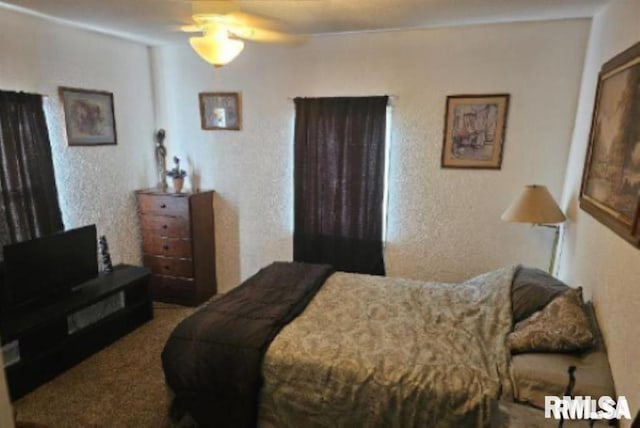 701 3rd St, Seaton, IL 61476 - carpeted bedroom with a textured wall