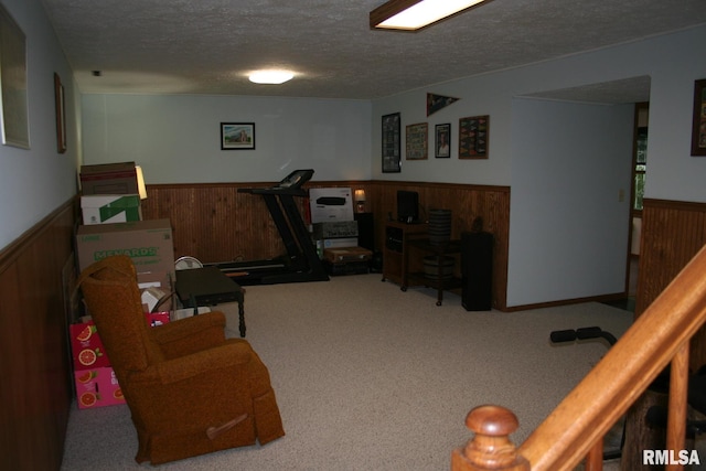 4145 Aspen Hills Dr, Bettendorf, IA 52722 - exercise room with wainscoting, a textured ceiling, carpet, and wooden walls