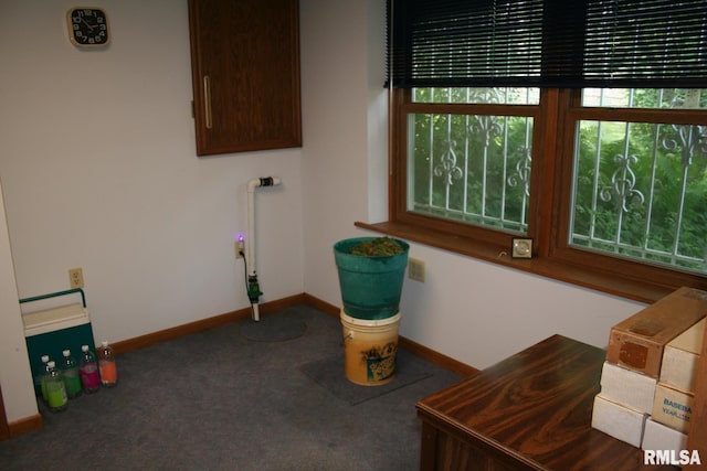 4145 Aspen Hills Dr, Bettendorf, IA 52722 - misc room with baseboards and carpet