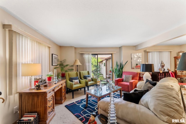 5903 36th Avenue Ct Unit 19, Moline, IL 61265 - living area with light colored carpet