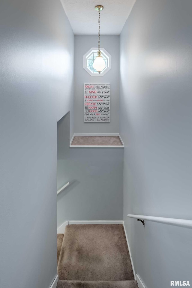 1514 E Willow Dr, Marion, IL 62959 - staircase featuring baseboards and carpet