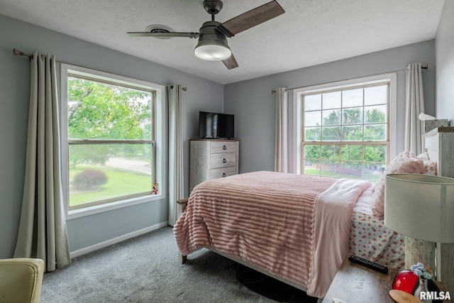1514 E Willow Dr, Marion, IL 62959 - bedroom with ceiling fan and carpet floors