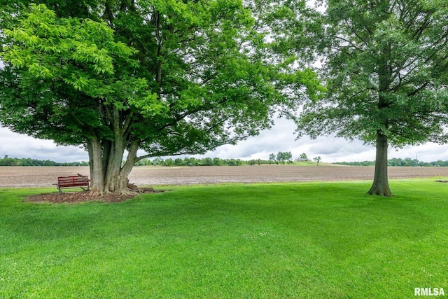 1514 E Willow Dr, Marion, IL 62959 - view of grassy yard featuring a rural view