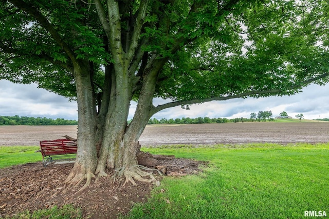 1514 E Willow Dr, Marion, IL 62959 - view of green lawn with a rural view
