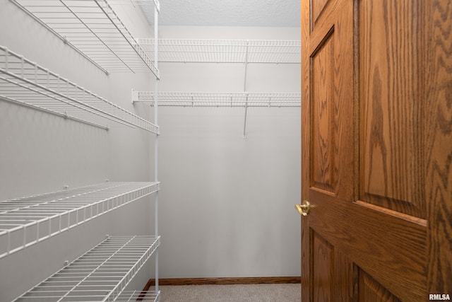 10 Briarwood Ln Unit 10, Rock Island, IL 61201 - walk in closet with carpet floors