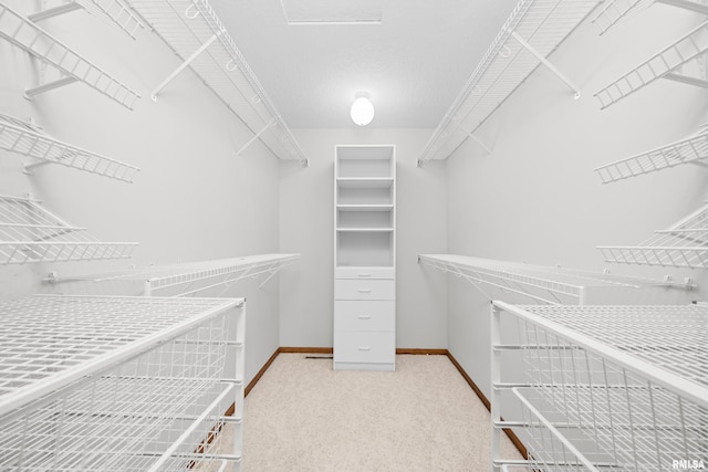10 Briarwood Ln Unit 10, Rock Island, IL 61201 - walk in closet featuring carpet