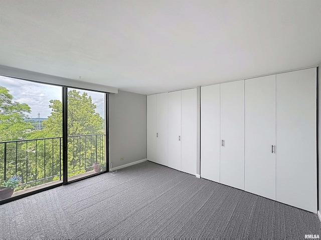1800 7th St Unit 6D, East Moline, IL 61244 - unfurnished bedroom featuring carpet and multiple closets