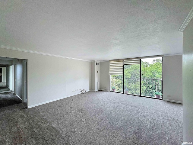 1800 7th St Unit 6D, East Moline, IL 61244 - carpeted spare room featuring crown molding, a textured ceiling, and expansive windows
