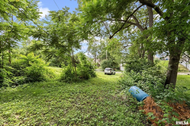 1312 Farnam St, Davenport, IA 52803 - view of yard