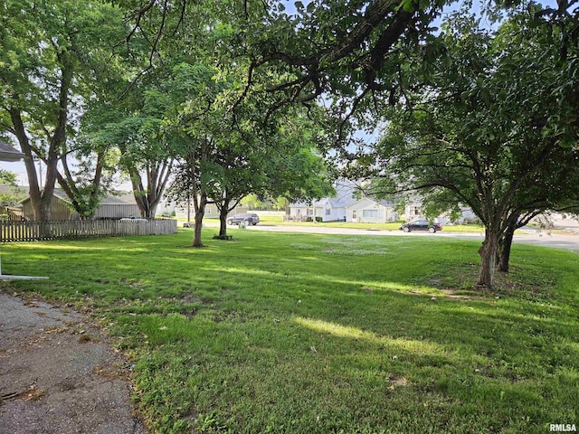 320 W 4th St, Wilton, IA 52778 - view of yard