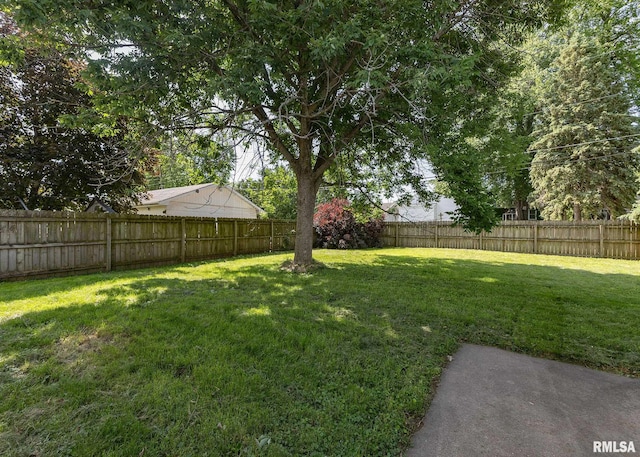 1035 14th Ave S, Clinton, IA 52732 - view of fenced backyard