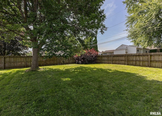 1035 14th Ave S, Clinton, IA 52732 - view of fenced backyard