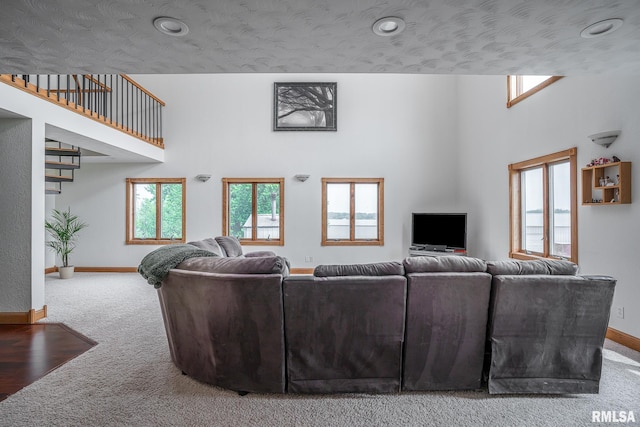 4460 160th St, Clinton, IA 52732 - living room with carpet floors and a towering ceiling