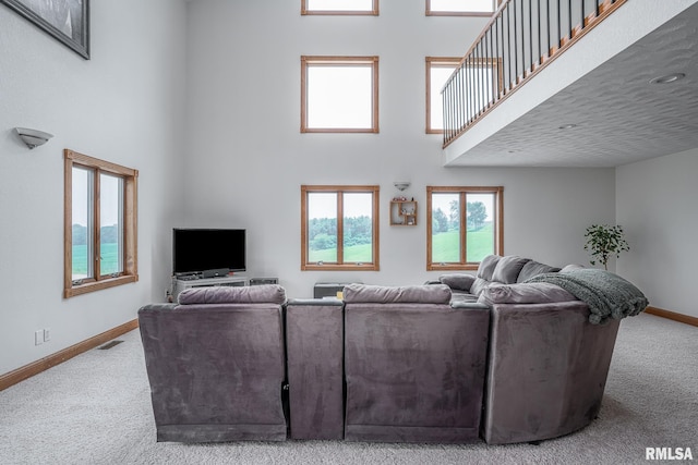 4460 160th St, Clinton, IA 52732 - living room with carpet and a high ceiling