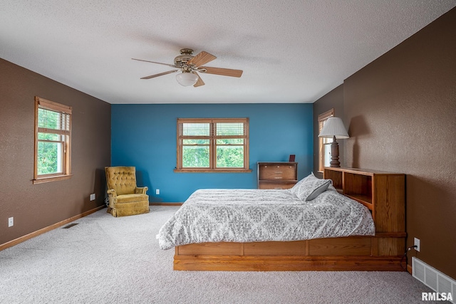 4460 160th St, Clinton, IA 52732 - carpeted bedroom with multiple windows, a textured ceiling, a ceiling fan, and a textured wall