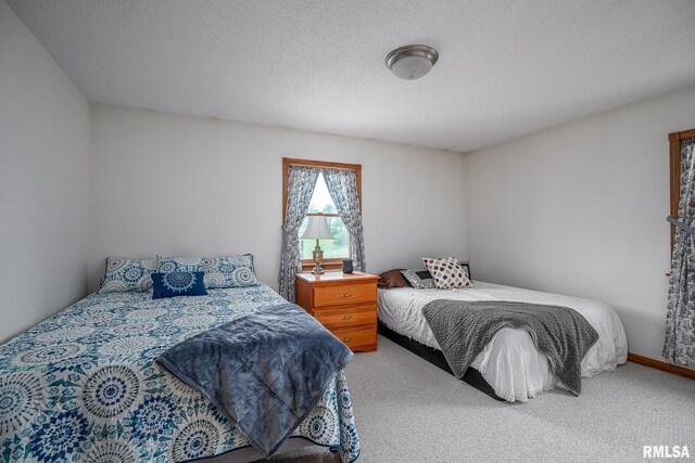 4460 160th St, Clinton, IA 52732 - photo 20