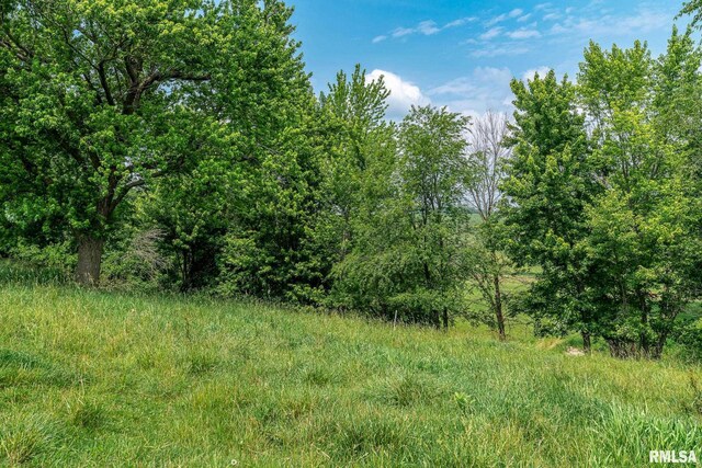 4460 160th St, Clinton, IA 52732 - photo 26