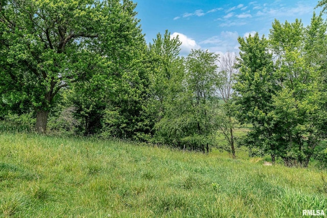 4460 160th St, Clinton, IA 52732 - view of nature