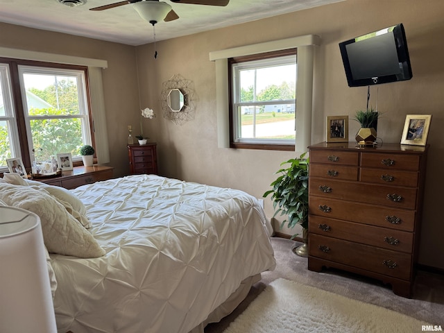 101 E 6th St, Sherrard, IL 61281 - carpeted bedroom featuring multiple windows and a ceiling fan