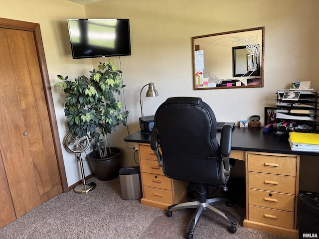 101 E 6th St, Sherrard, IL 61281 - office with carpet flooring and baseboards