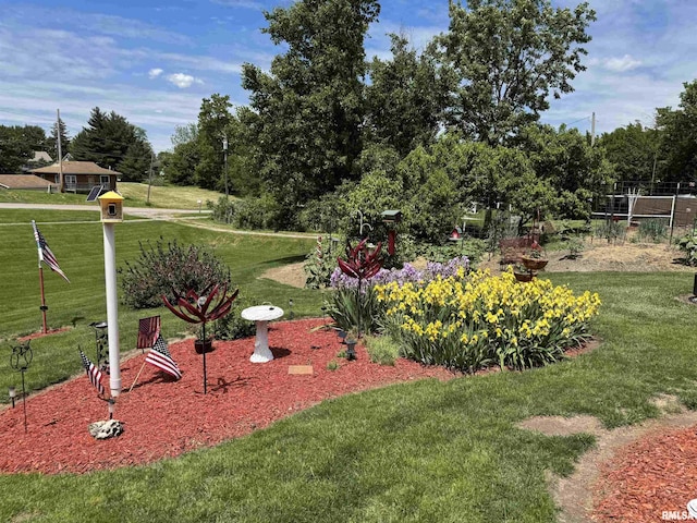 101 E 6th St, Sherrard, IL 61281 - view of green lawn featuring view of scattered trees