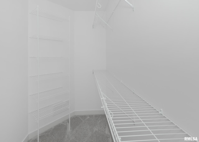 624 Rock Point Rd, Colona, IL 61241 - spacious closet featuring carpet