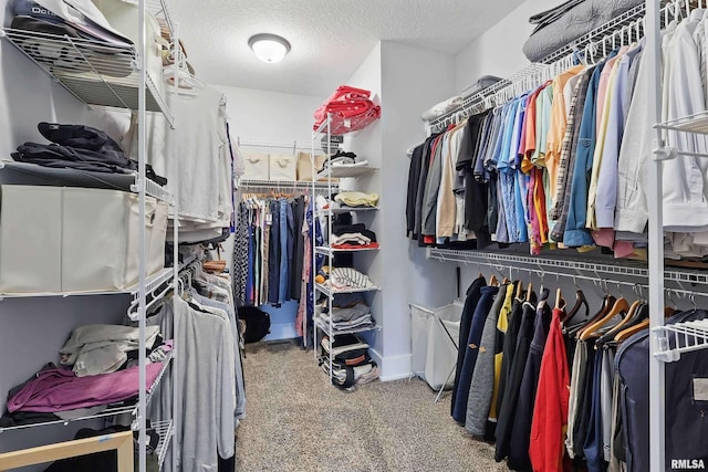6250 Whispering Hill Ct, Bettendorf, IA 52722 - spacious closet with carpet floors