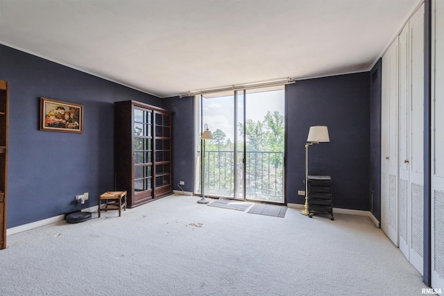 1800 7th St Unit 7A, East Moline, IL 61244 - unfurnished room with floor to ceiling windows and carpet flooring