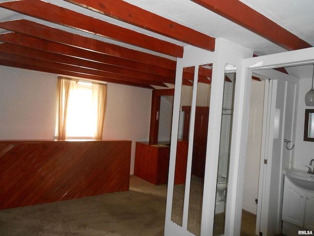 636 3rd St, Buffalo, IA 52728 - hallway featuring carpet flooring and a sink